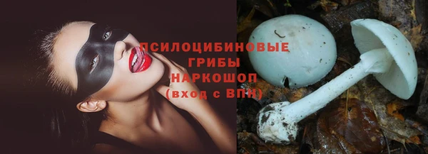 MDMA Новодвинск