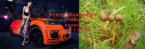 mdpv Новозыбков