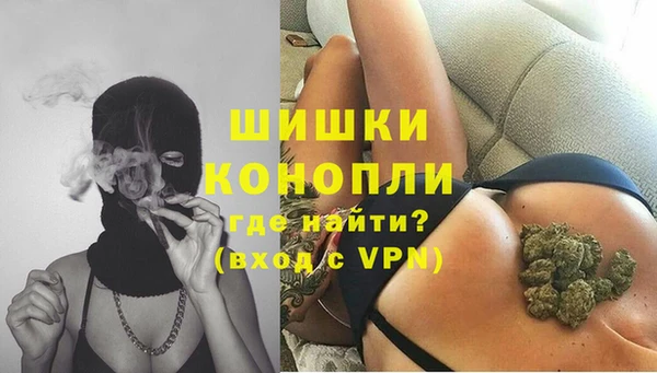 mdpv Новозыбков